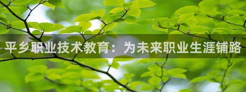 ag8亚洲国际集团j9|平乡职业技术教育：为未来职业生涯铺路