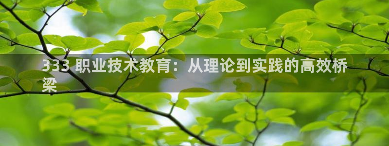 ag亚洲游戏国际平台|333 职业技术教育：从理论到实践的高效桥
梁