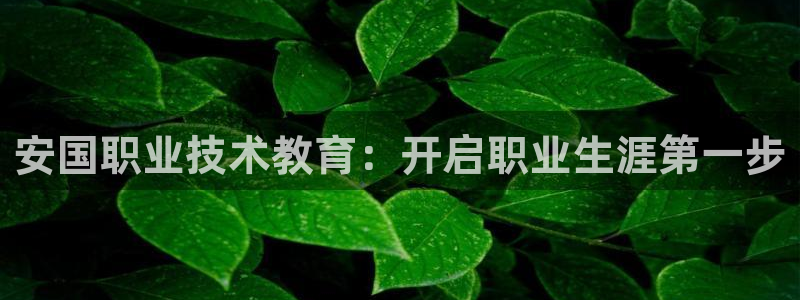 j9电竞官网