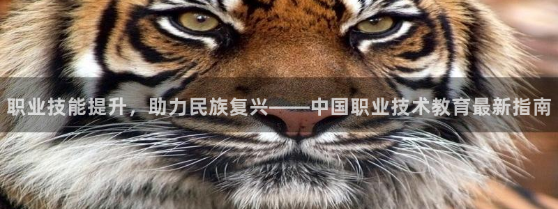 J9平台官网