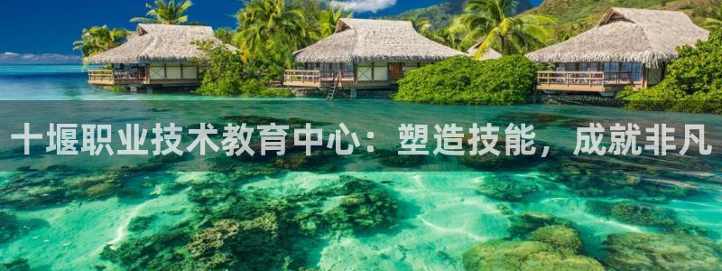 九游会老哥必备的交流社区|十堰职业技术教育中心：塑造技能，成就非凡