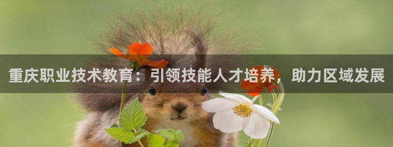 ag8亚洲国际集团j9|重庆职业技术教育：引领技能人才培养，助力区域发展