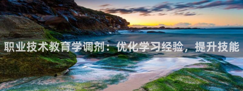 九游会老哥必备的交流社区|职业技术教育学调剂：优化学习经验，提升技能