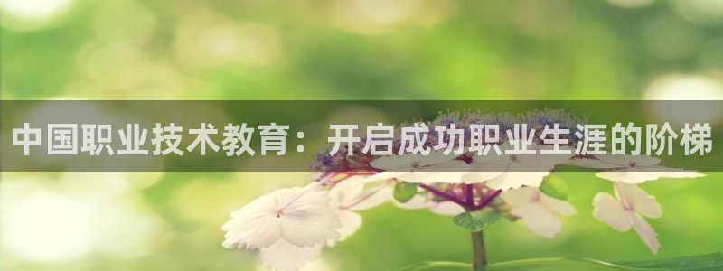J9数字站|中国职业技术教育：开启成功职业生涯的阶梯