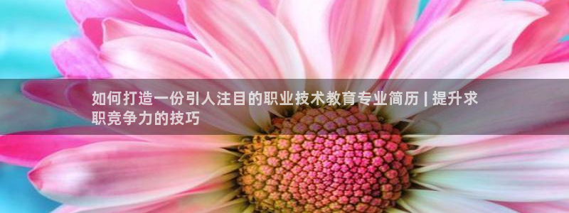 j9九游会网址是什么|如何打造一份引人注目的职业技术教育专业简历 | 提升求
职竞争力的技巧